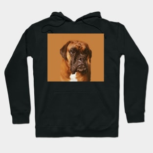 Quino the boxer. Hoodie